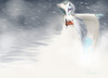 FireAnne: Yukimenoko in Blizzard
